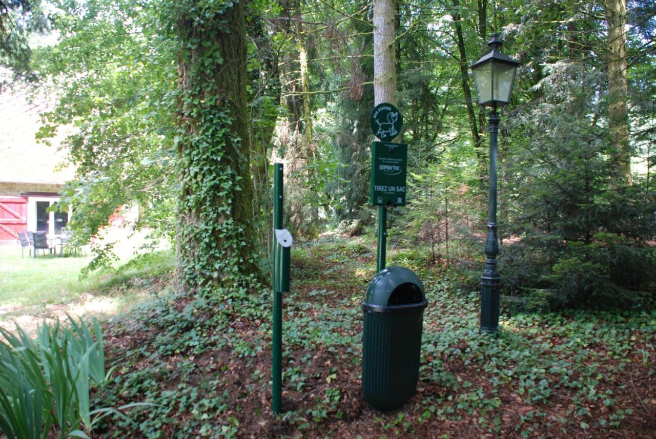 Gites Chateau Le Bois Saint-Julien-aux-Bois Екстериор снимка
