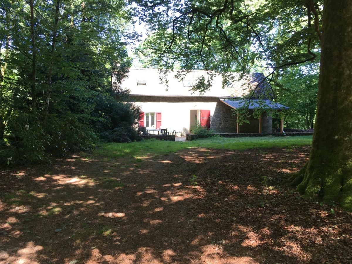 Gites Chateau Le Bois Saint-Julien-aux-Bois Екстериор снимка
