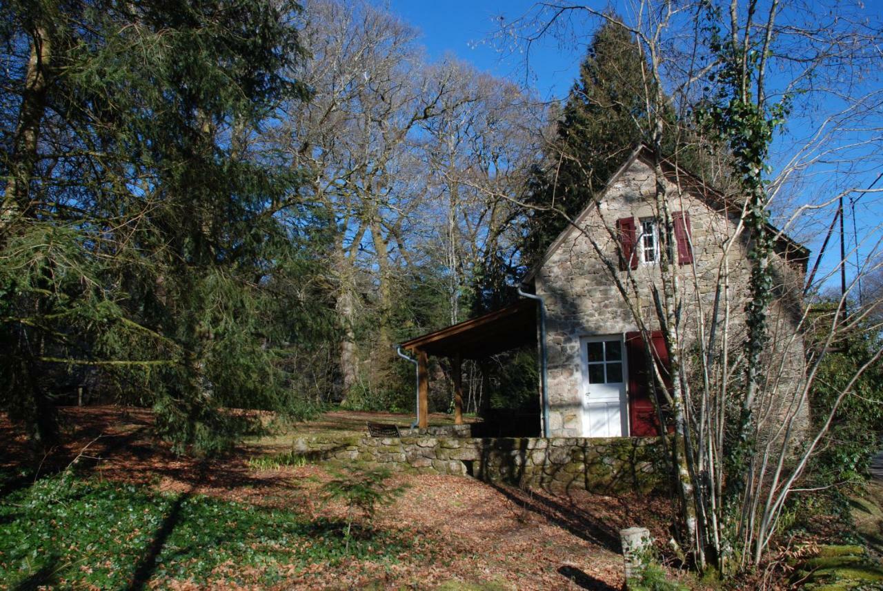 Gites Chateau Le Bois Saint-Julien-aux-Bois Екстериор снимка